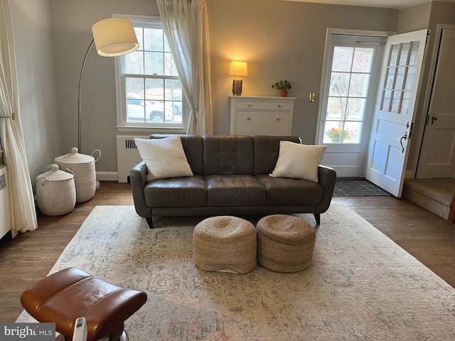 living area featuring radiator, baseboards, and wood finished floors