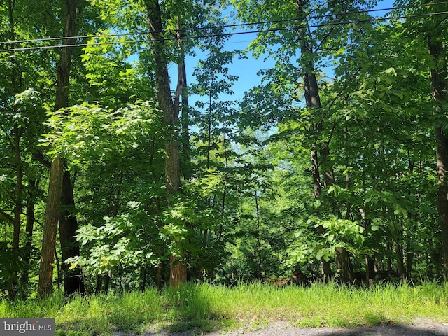 LOT38F Windy Way, Front Royal VA, 22630 land for sale