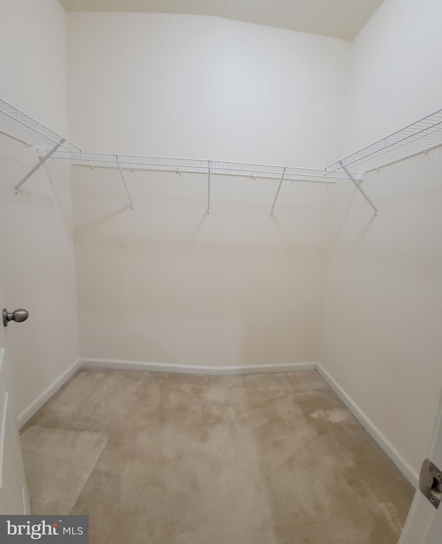 walk in closet with light colored carpet