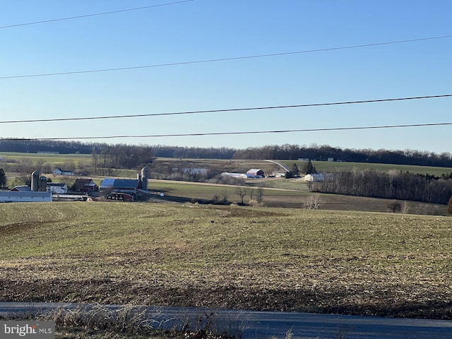 view of yard with a rural view