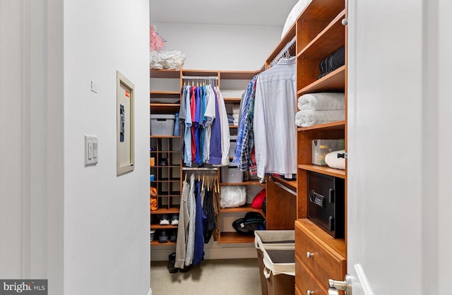 spacious closet featuring carpet floors