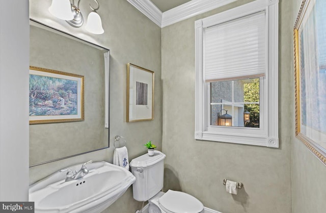 bathroom featuring a sink, toilet, and ornamental molding