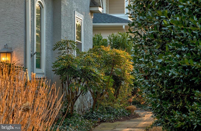 view of home's exterior featuring stucco siding and roof with shingles