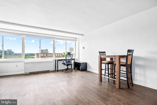 home office with a healthy amount of sunlight, baseboards, and wood finished floors