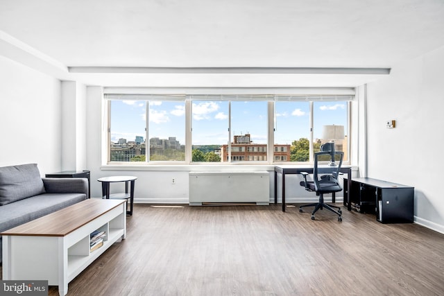 office with baseboards, a view of city, and wood finished floors