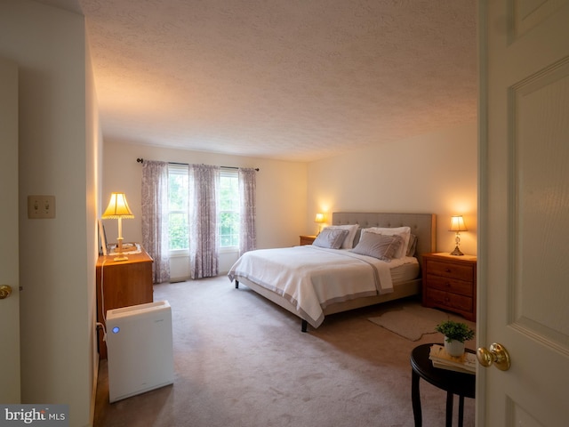 carpeted bedroom with a textured ceiling