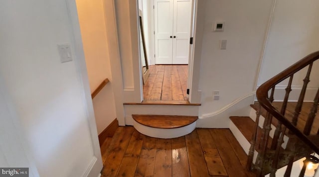 stairway featuring wood-type flooring