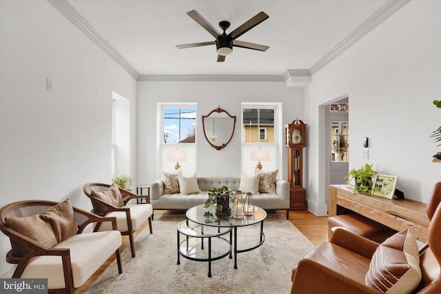 living area featuring crown molding, a ceiling fan, and light wood-style floors