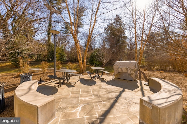 view of patio with grilling area