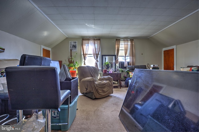 interior space with carpet floors and lofted ceiling