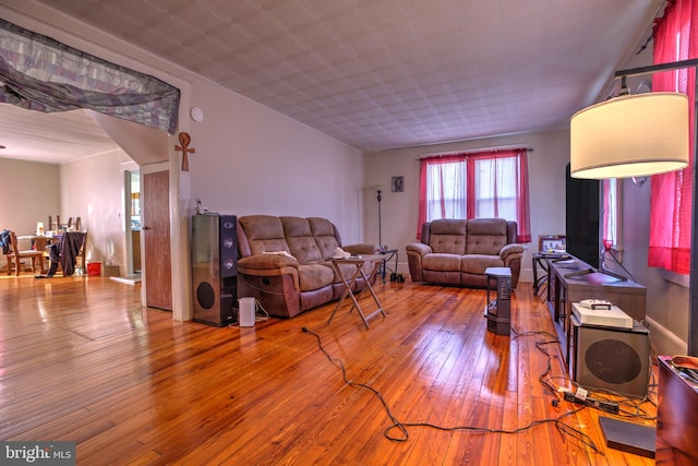 living room featuring wood-type flooring