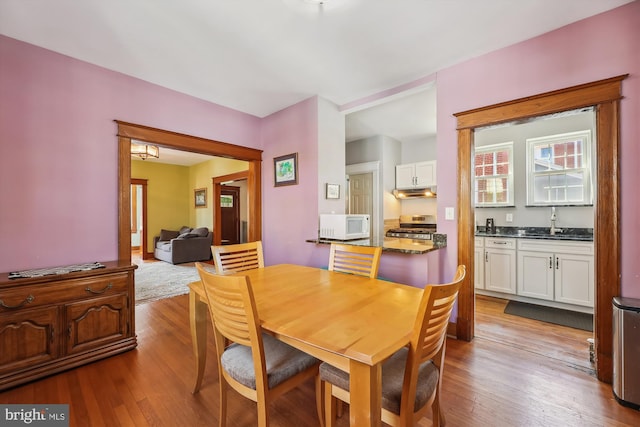 dining area featuring hardwood / wood-style floors