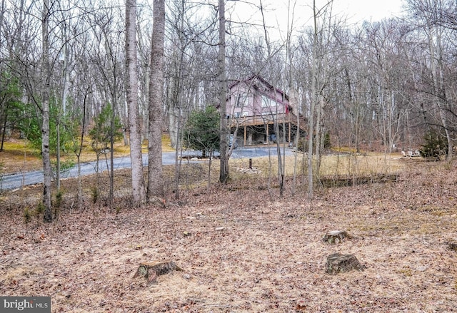 view of yard featuring a forest view