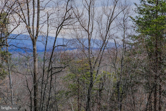 property view of water with a wooded view