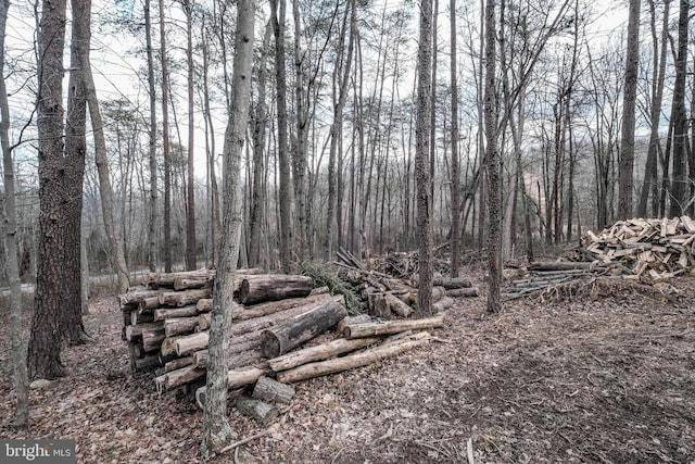 view of nature with a wooded view