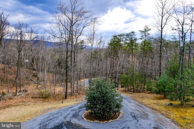 view of street with a wooded view