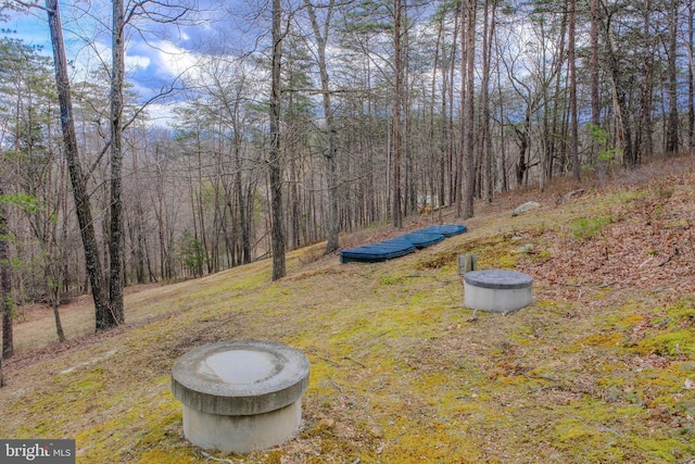 view of yard featuring a view of trees