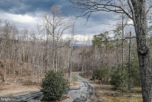 view of road featuring a wooded view