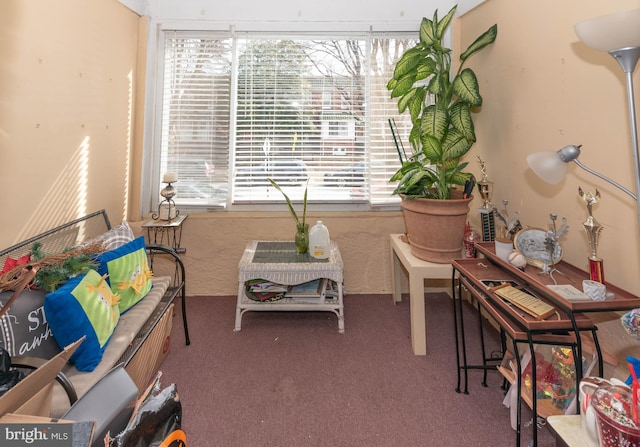 sitting room featuring carpet floors