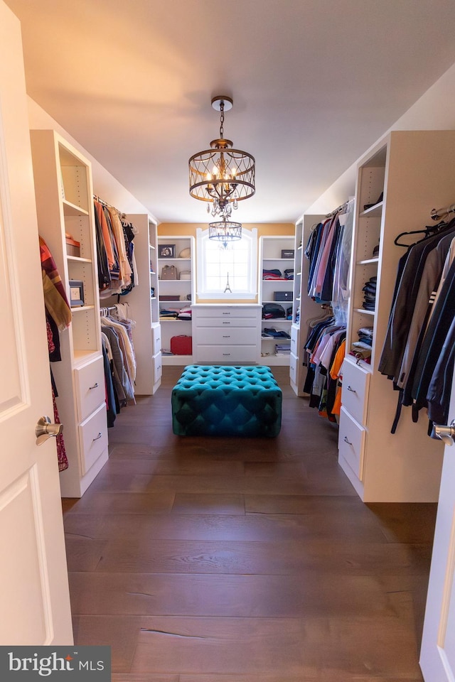 walk in closet with a notable chandelier and dark wood-style floors