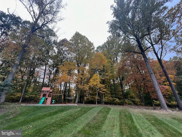 view of yard with playground community