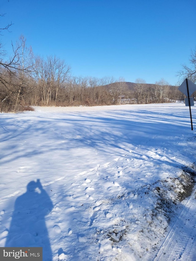 view of yard layered in snow