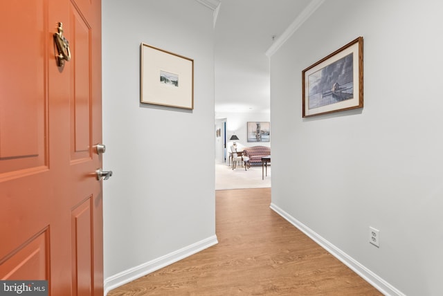 508 Limerick Cir Unit 304, Lutherville Timonium, MD 21093 - corridor with light wood-style flooring, baseboards, and crown molding