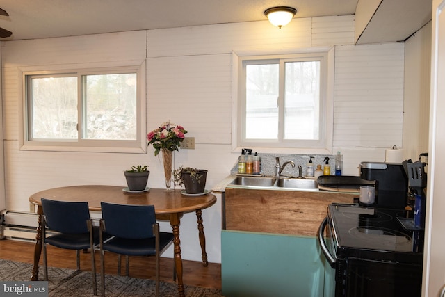 kitchen with electric range, wood finished floors, and a sink