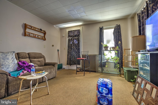 carpeted living room featuring radiator heating unit