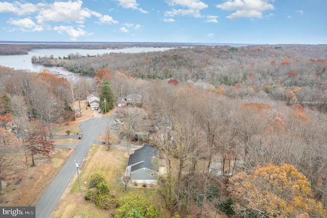 aerial view featuring a water view and a view of trees