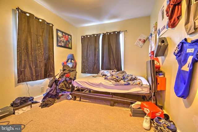 bedroom with carpet floors