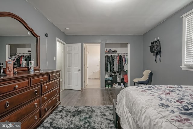 bedroom with a spacious closet, a closet, and wood finished floors