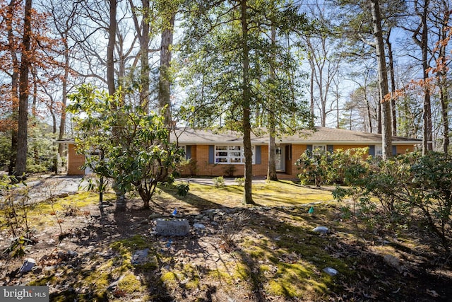 view of front of home featuring brick siding