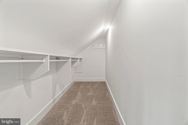 walk in closet featuring lofted ceiling and carpet floors