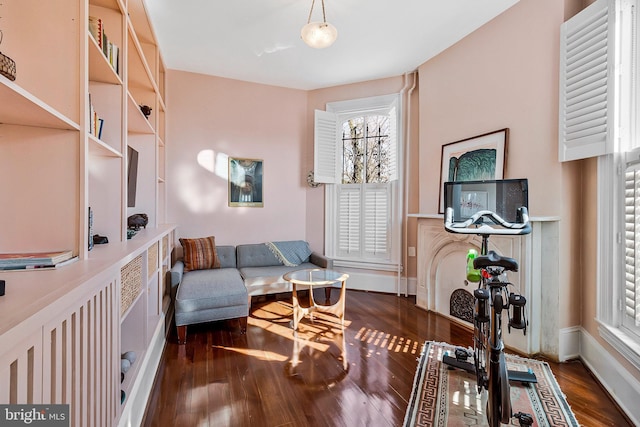 sitting room with baseboards and wood finished floors