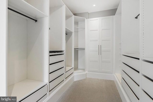 spacious closet featuring light colored carpet