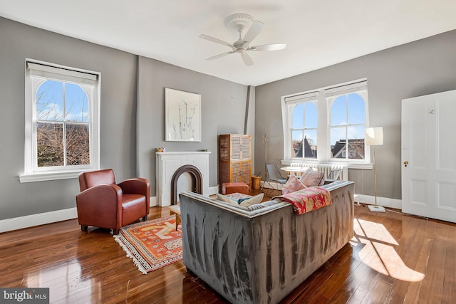 living room with a fireplace, dark wood finished floors, and a wealth of natural light