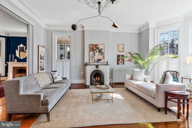 living room featuring a warm lit fireplace, crown molding, radiator heating unit, and wood finished floors