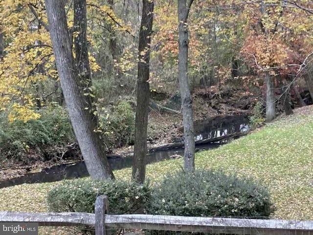 view of yard featuring a forest view