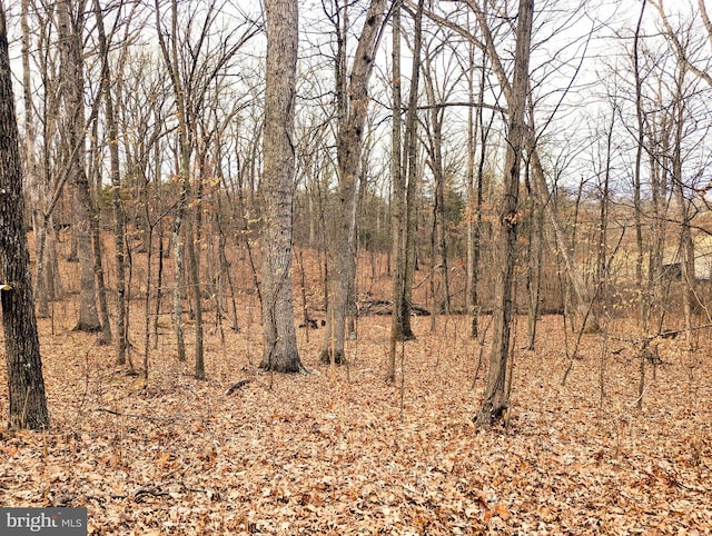 Eppinger Rd, Berkeley Springs WV, 25411 land for sale