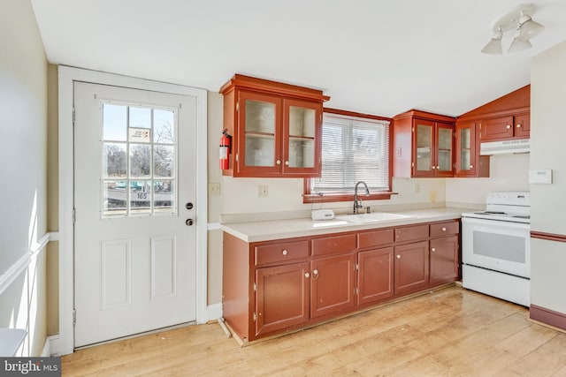 kitchen featuring light wood-style flooring, under cabinet range hood, a sink, light countertops, and white electric range oven