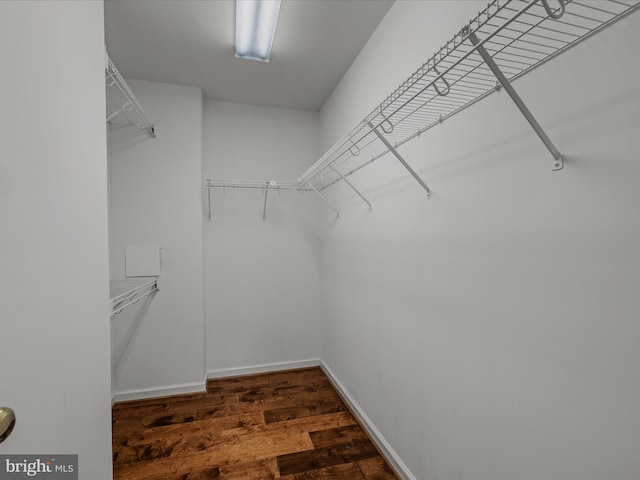 walk in closet featuring wood finished floors