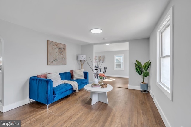 living room with baseboards and wood finished floors