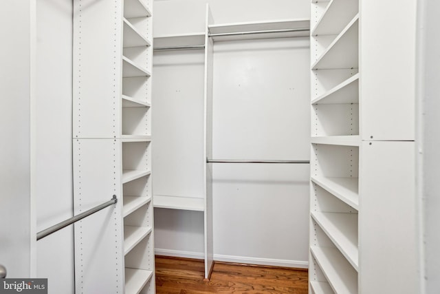 walk in closet featuring wood finished floors