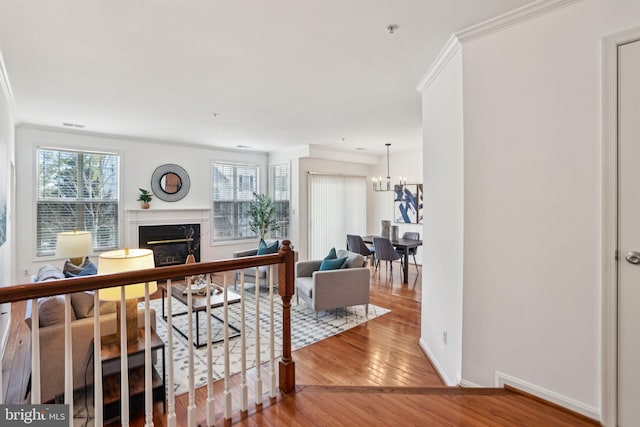 hallway featuring a wealth of natural light, crown molding, an inviting chandelier, and wood finished floors