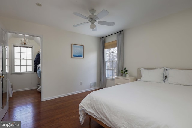 bedroom featuring a spacious closet, dark wood finished floors, a ceiling fan, and baseboards