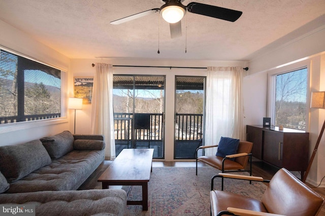 living area with a wealth of natural light, a textured ceiling, and wood finished floors