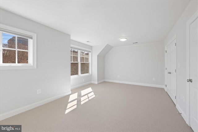 additional living space featuring baseboards and carpet