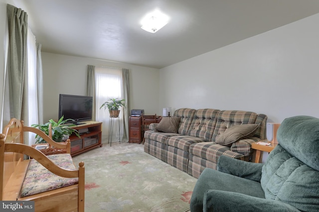 view of carpeted living area