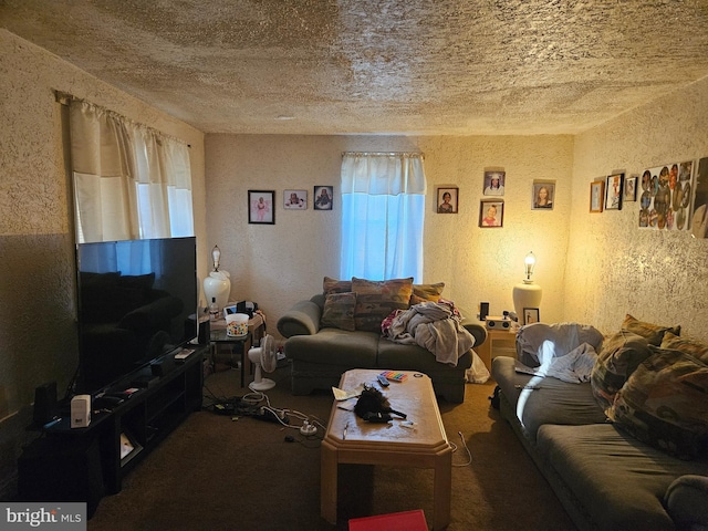 living area with carpet floors and a textured wall